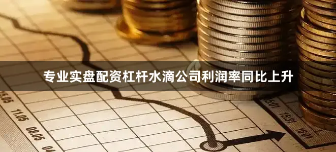 专业实盘配资杠杆水滴公司利润率同比上升